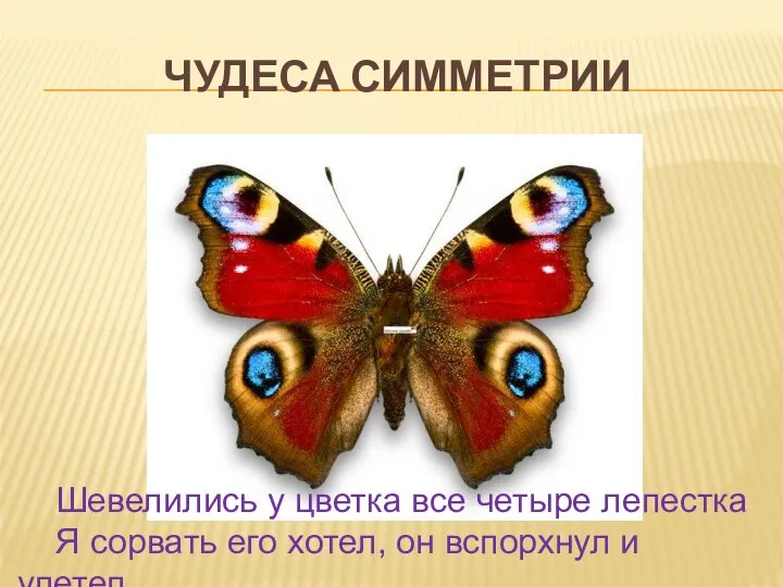 Чудеса симметрии Шевелились у цветка все четыре лепестка Я сорвать его хотел, он вспорхнул и улетел