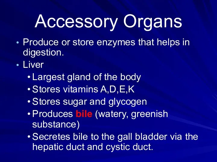 Accessory Organs Produce or store enzymes that helps in digestion. Liver