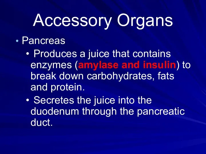 Accessory Organs Pancreas Produces a juice that contains enzymes (amylase and