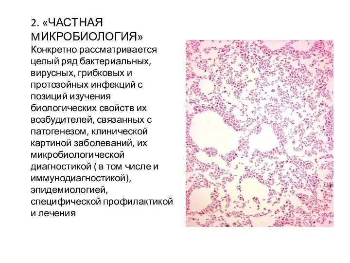 2. «ЧАСТНАЯ MИКРОБИОЛОГИЯ» Конкретно рассматривается целый ряд бактериальных, вирусных, грибковых и