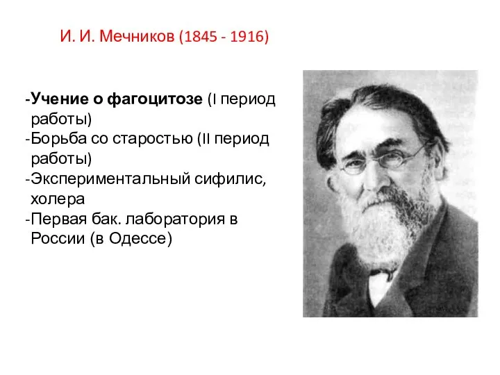 И. И. Мечников (1845 - 1916) Учение о фагоцитозе (I период