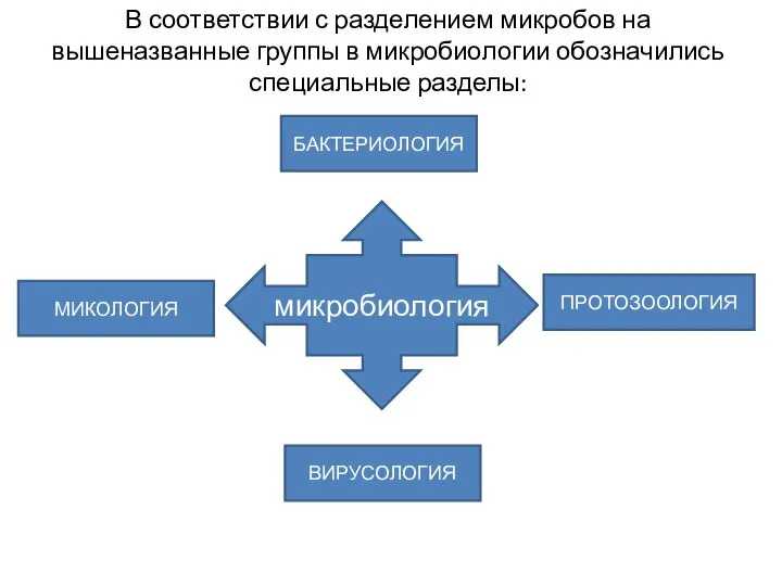 микробиология ВИРУСОЛОГИЯ БАКТЕРИОЛОГИЯ МИКОЛОГИЯ ПРОТОЗООЛОГИЯ В соответствии с разделением микробов на