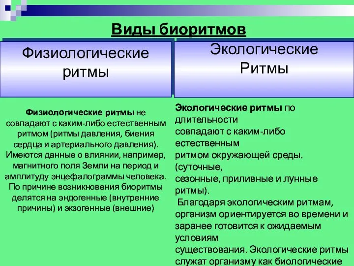 Виды биоритмов Физиологические ритмы Экологические Ритмы Экологические ритмы по длительности совпадают