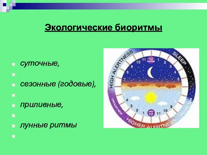 Экологические биоритмы суточные, сезонные (годовые), приливные, лунные ритмы