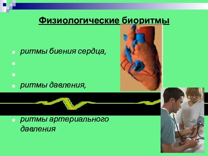 Физиологические биоритмы ритмы биения сердца, ритмы давления, ритмы артериального давления