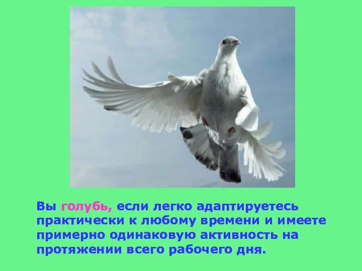 Вы голубь, если легко адаптируетесь практически к любому времени и имеете