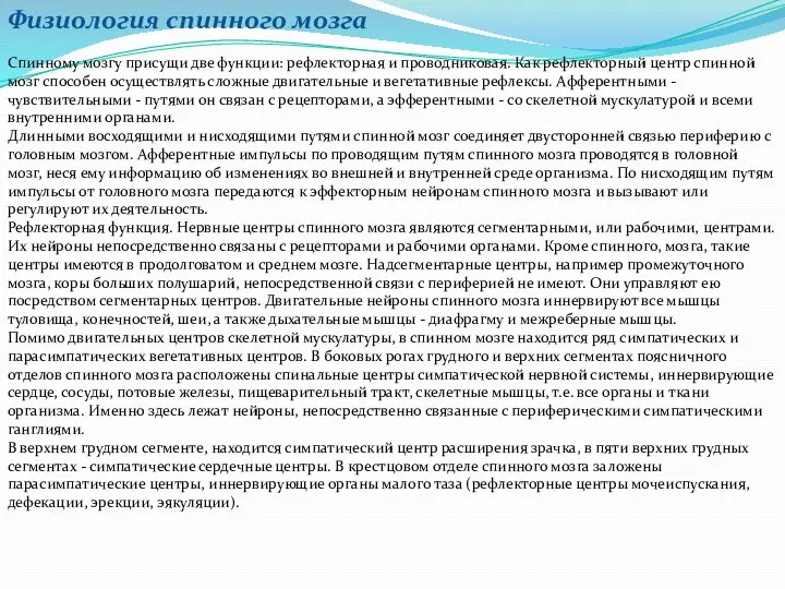 Физиология спинного мозга Спинному мозгу присущи две функции: рефлекторная и проводниковая.