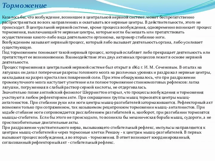 Торможение Казалось бы, что возбуждение, возникшее в центральной нервной системе, может