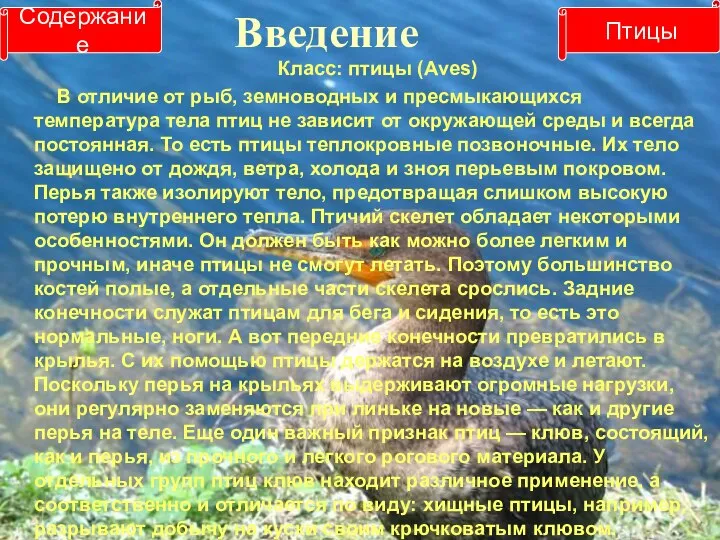 Введение Класс: птицы (Aves) В отличие от рыб, земноводных и пресмыкающихся