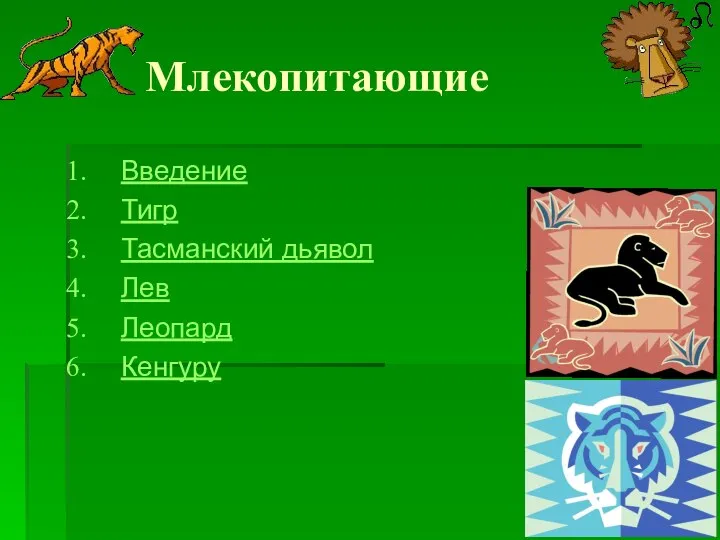 Млекопитающие Введение Тигр Тасманский дьявол Лев Леопард Кенгуру