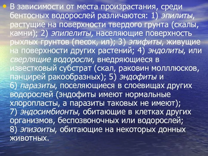 В зависимости от места произрастания, среди бентосных водорослей различаются: 1) эпилиты,