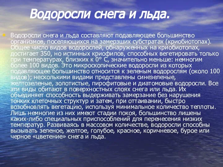 Водоросли снега и льда. Водоросли снега и льда составляют подавляющее большинство