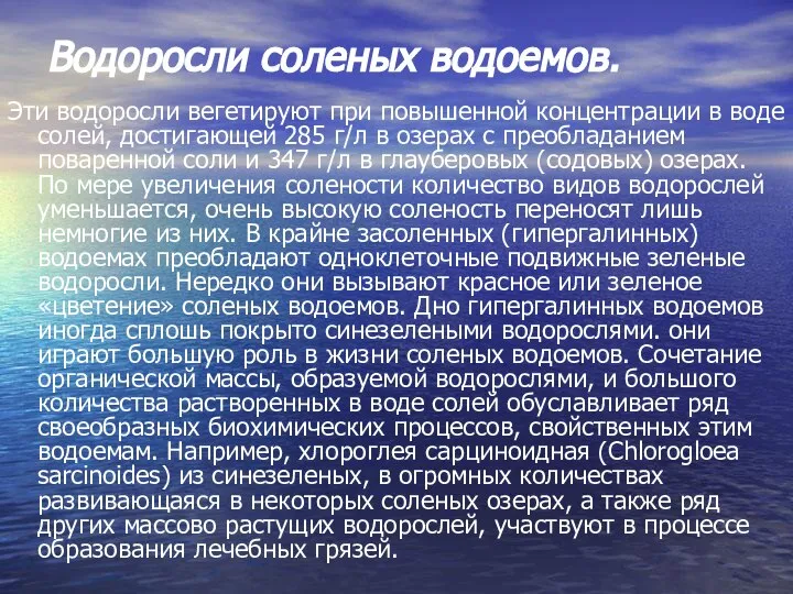 Водоросли соленых водоемов. Эти водоросли вегетируют при повышенной концентрации в воде