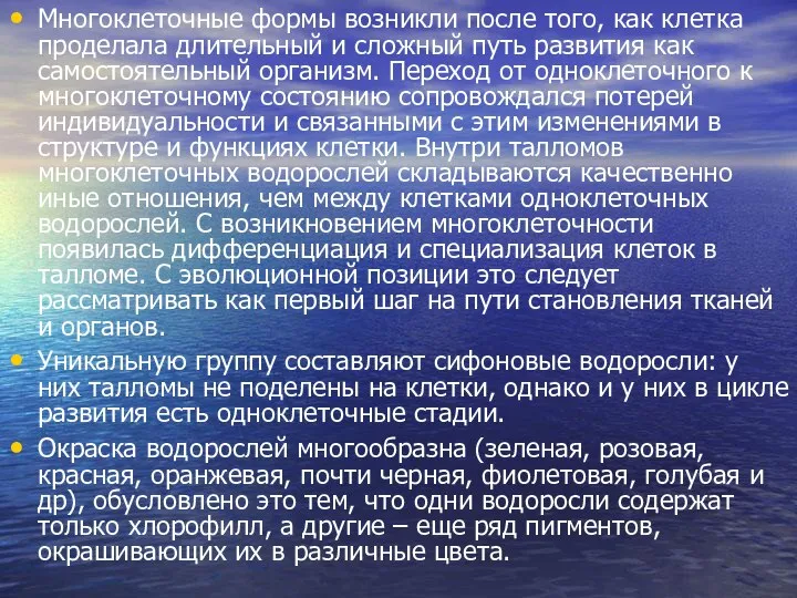 Многоклеточные формы возникли после того, как клетка проделала длительный и сложный