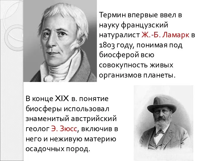 Термин впервые ввел в науку французский натуралист Ж.-Б. Ламарк в 1803