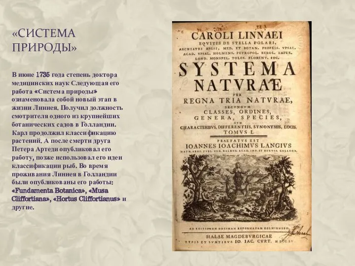 «Система природы» В июне 1735 года степень доктора медицинских наук Следующая