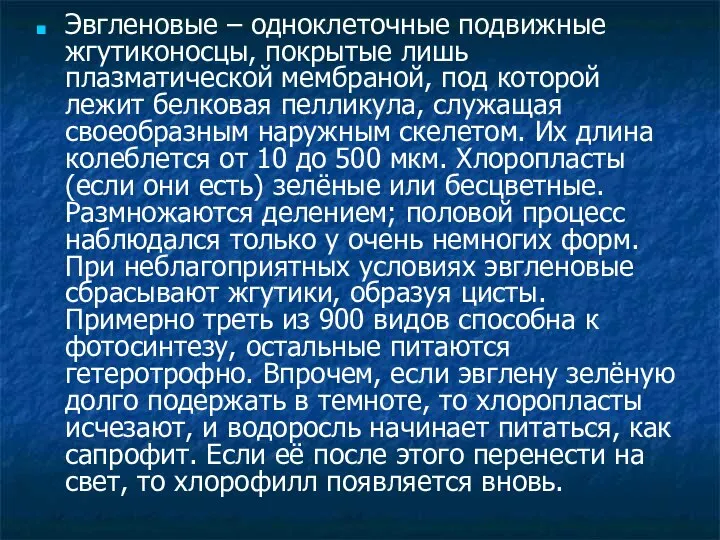 Эвгленовые – одноклеточные подвижные жгутиконосцы, покрытые лишь плазматической мембраной, под которой