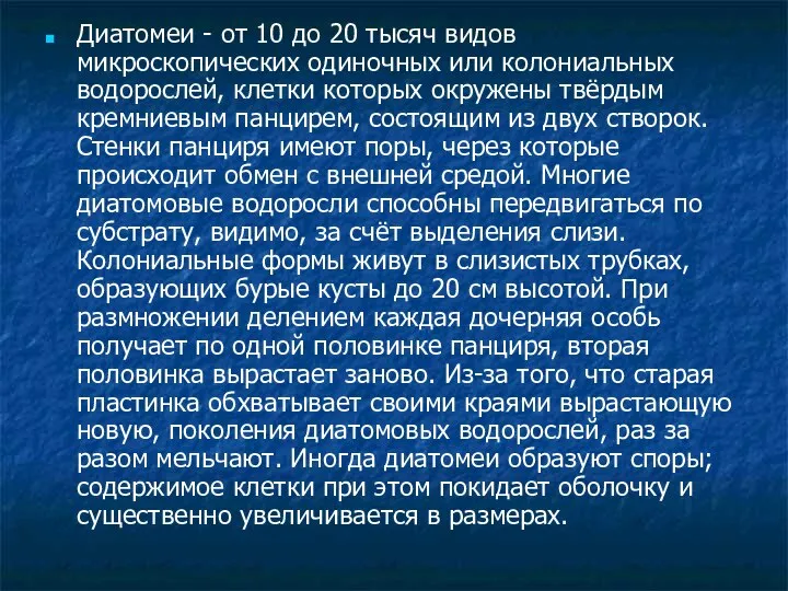 Диатомеи - от 10 до 20 тысяч видов микроскопических одиночных или