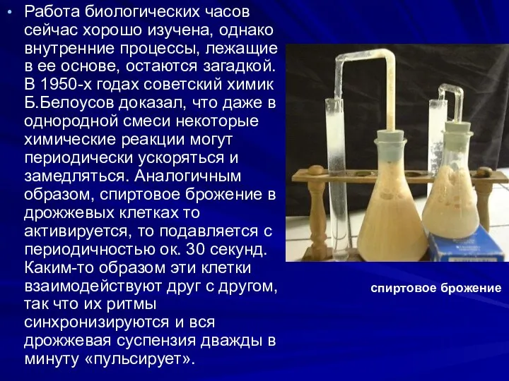 Работа биологических часов сейчас хорошо изучена, однако внутренние процессы, лежащие в