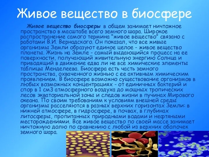 Живое вещество в биосфере Живое вещество биосферы в общем занимает ничтожное