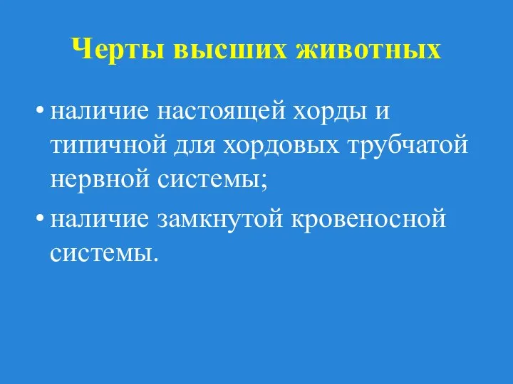 Черты высших животных наличие настоящей хорды и типичной для хордовых трубчатой