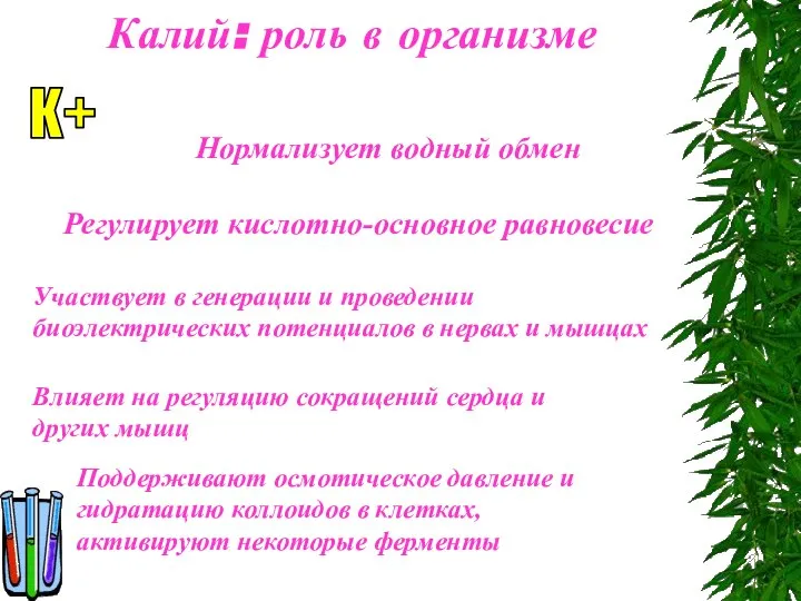 Калий: роль в организме K+ Нормализует водный обмен Регулирует кислотно-основное равновесие