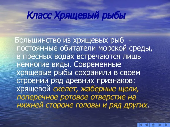 Класс Хрящевый рыбы Большинство из хрящевых рыб - постоянные обитатели морской