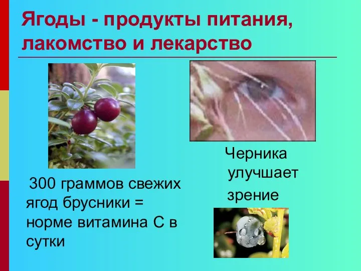 Ягоды - продукты питания, лакомство и лекарство 300 граммов свежих ягод