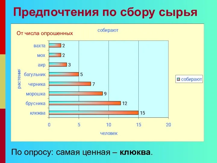 Предпочтения по сбору сырья По опросу: самая ценная – клюква. От числа опрошенных