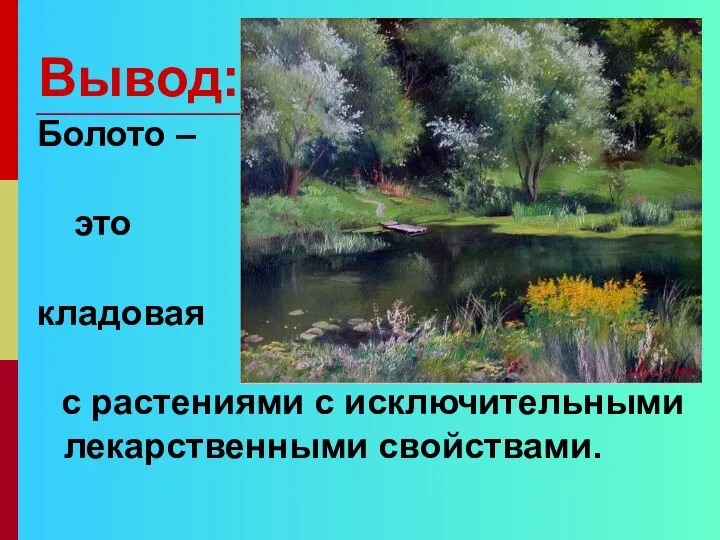 Вывод: Болото – это кладовая с растениями с исключительными лекарственными свойствами.