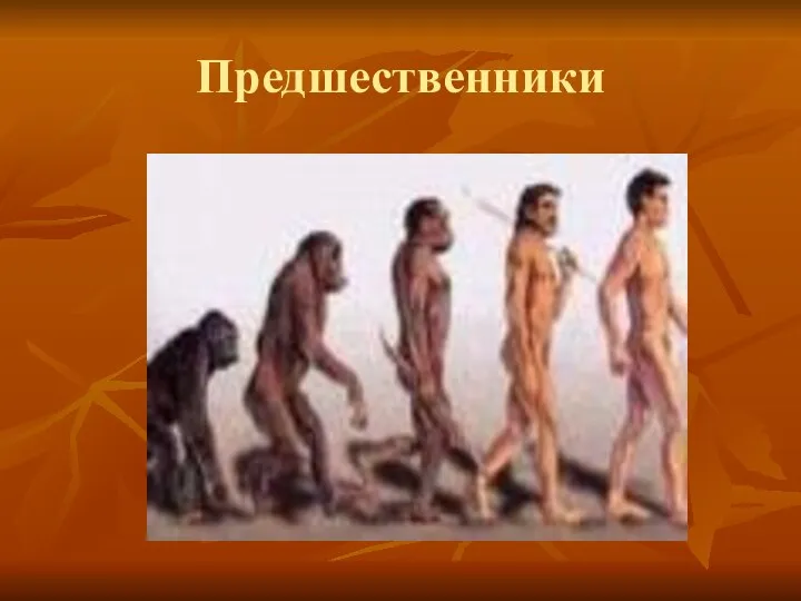 Предшественники