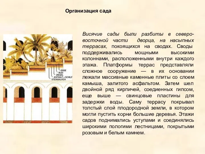 Висячие сады были разбиты в северо-восточной части дворца, на насыпных террасах,