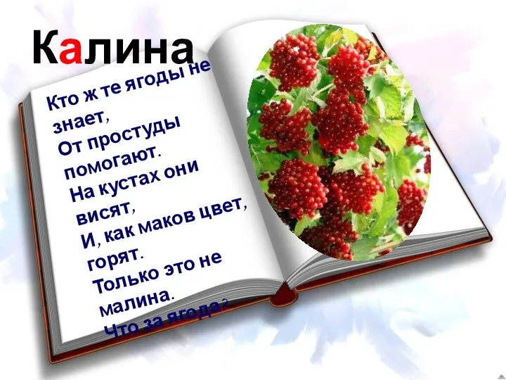 Калина Кто ж те ягоды не знает, От простуды помогают. На