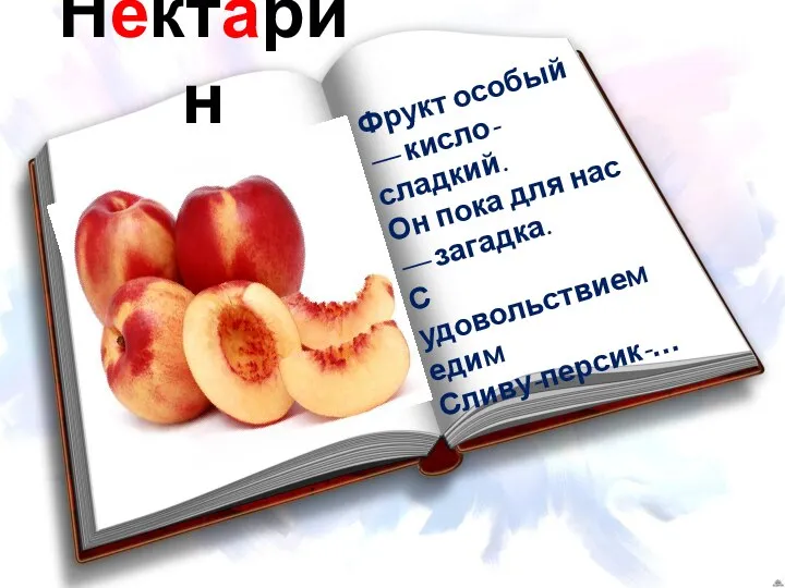 Нектарин Фрукт особый — кисло-сладкий. Он пока для нас — загадка. С удовольствием едим Сливу-персик-…