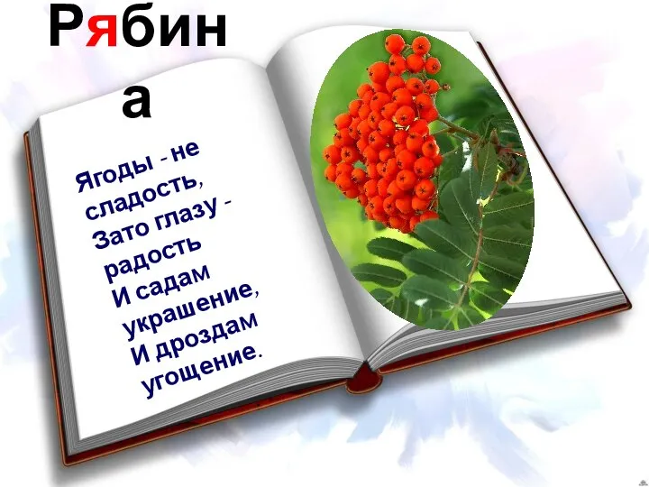 Рябина Ягоды - не сладость, Зато глазу - радость И садам украшение, И дроздам угощение.