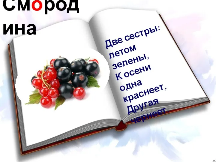 Смородина Две сестры: летом зелены, К осени одна краснеет, Другая чернеет.