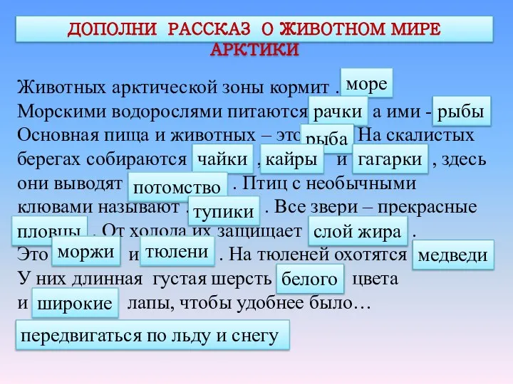 ДОПОЛНИ РАССКАЗ О ЖИВОТНОМ МИРЕ АРКТИКИ Животных арктической зоны кормит ….