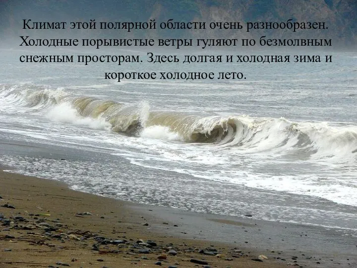 Климат этой полярной области очень разнообразен. Холодные порывистые ветры гуляют по