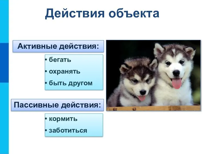 Активные действия: бегать охранять быть другом Пассивные действия: кормить заботиться Действия объекта