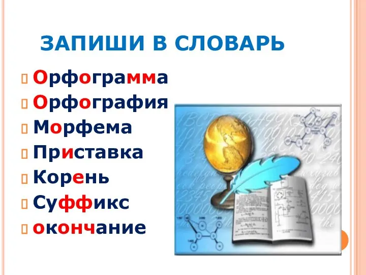 ЗАПИШИ В СЛОВАРЬ Орфограмма Орфография Морфема Приставка Корень Суффикс окончание