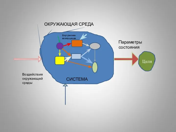 СИСТЕМА ОКРУЖАЮЩАЯ СРЕДА Параметры состояния Цели Воздействия окружающей среды Внутренние возмущения