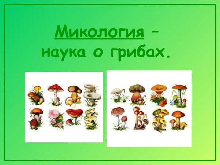 Микология – наука о грибах.