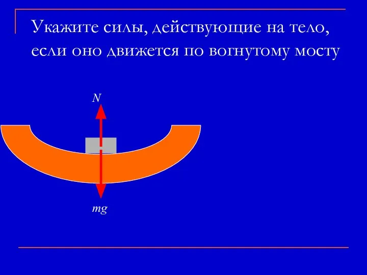 Укажите силы, действующие на тело, если оно движется по вогнутому мосту mg N