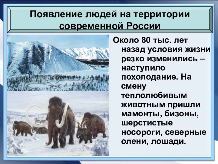 Около 80 тыс. лет назад условия жизни резко изменились – наступило