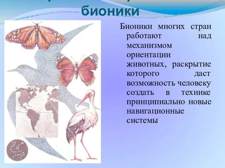 Бионики многих стран работают над механизмом ориентации животных, раскрытие которого даст