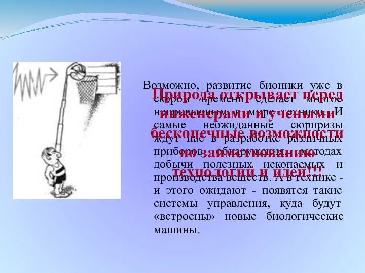 Возможно, развитие бионики уже в скором времени сделает многое непривычным в