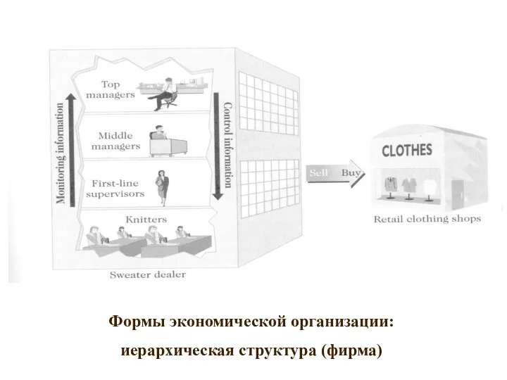 Формы экономической организации: иерархическая структура (фирма)