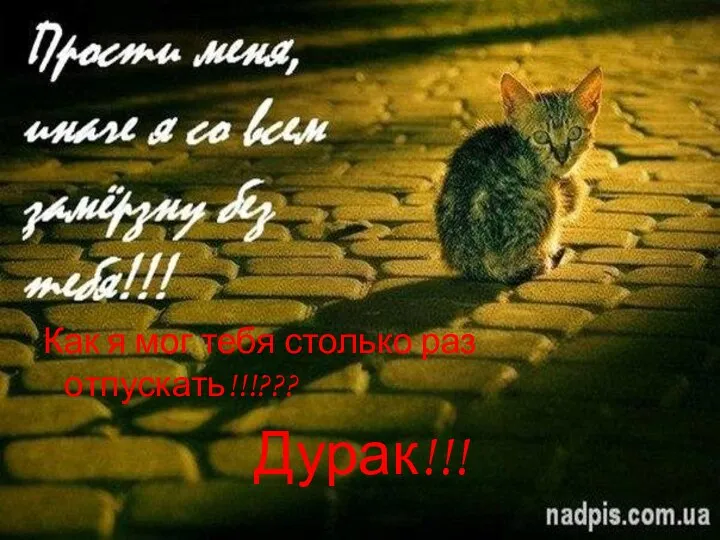 Как я мог тебя столько раз отпускать!!!??? Дурак!!!