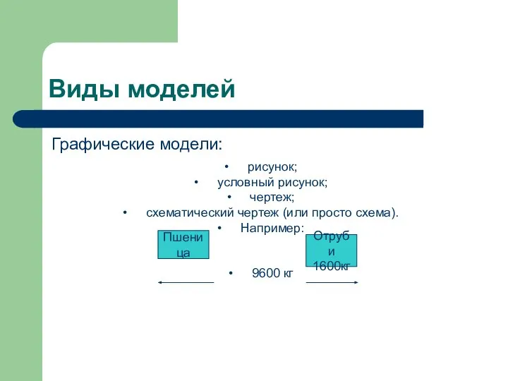 Виды моделей Графические модели: рисунок; условный рисунок; чертеж; схематический чертеж (или