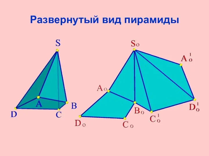 Развернутый вид пирамиды